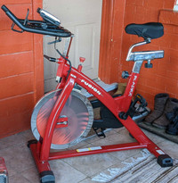 Bladez Fusion Exercise Bike