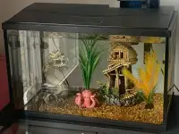 Aquarium fish tank with all accessories 
