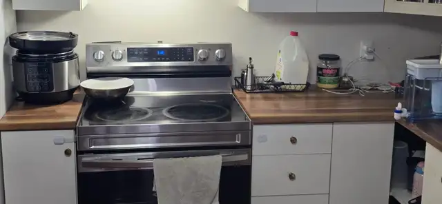 Apartment for rent February 1st  in Other in St. John's - Image 4