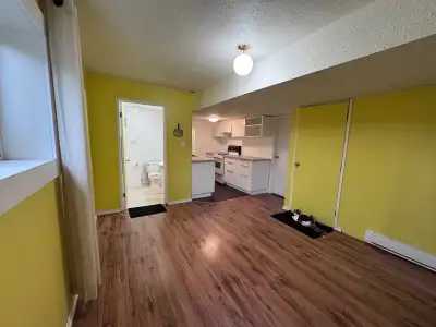 Available December 1st, this bright and well-kept one-bedroom basement suite offers a peaceful and p...