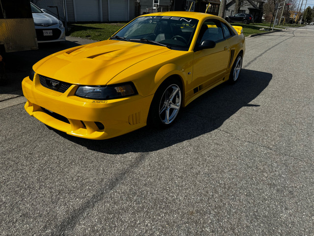 2004 Mustang Saleen #04-359sc only 13000 miles  in Cars & Trucks in St. Catharines - Image 2
