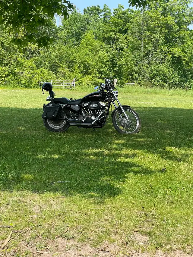 2007 custom sportster 883 in Street, Cruisers & Choppers in Trenton - Image 3