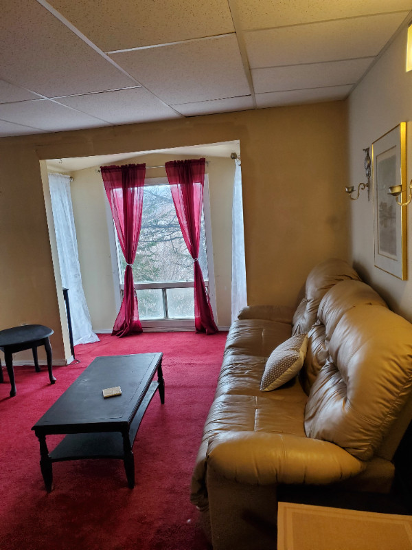 1 bedroom apartment in Long Term Rentals in Corner Brook - Image 3