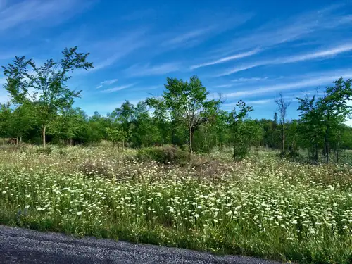 For Sale By Owner - Exceptional 85- Acre Legacy Estate Opportunity - West Ottawa (Dunrobin Shores /...