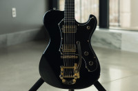 Custom Veritas Portlander guitar