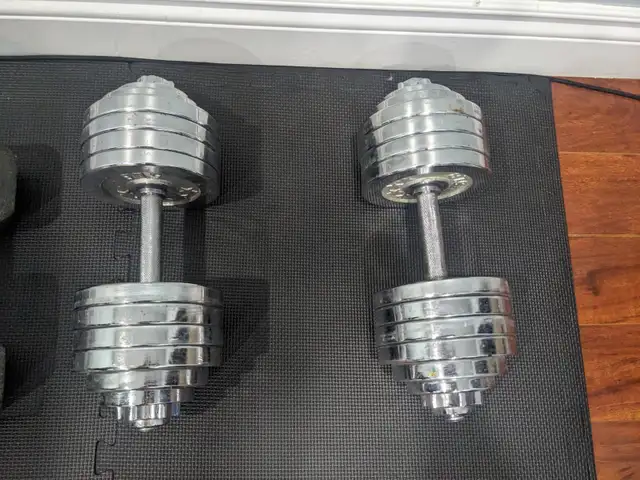 Adjustable 55lb dumbbells