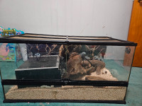 Reptile tank