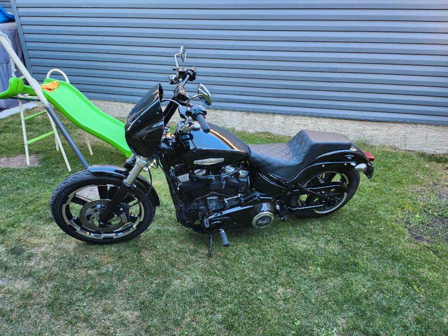 Harley davidson softtail standard in Street, Cruisers & Choppers in Calgary - Image 4