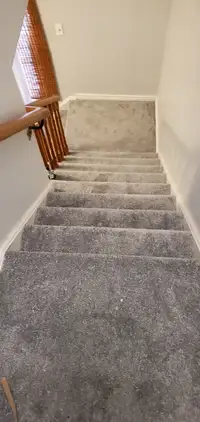 Installation carpet