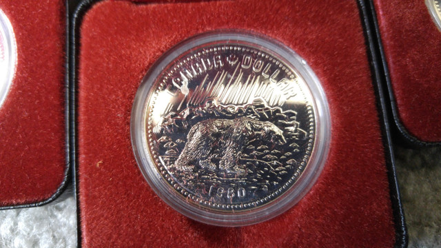 1980 Canadian Proof SILVER Dollar in Arts & Collectibles in Calgary