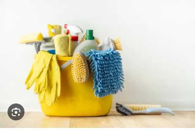 Cleaning 101