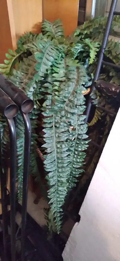 An artificial plant for sale, View more