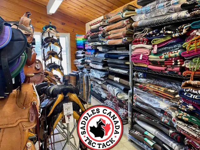 Western & English Saddles & Tack in Equestrian & Livestock Accessories in Regina - Image 3