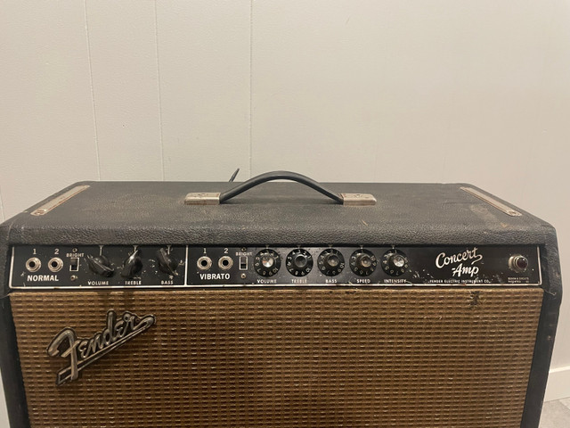 1960’s fender concert amp  in Amps & Pedals in City of Toronto - Image 3