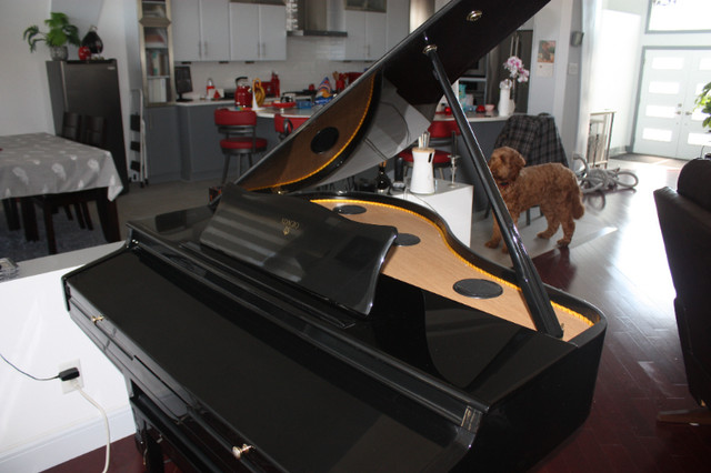 Black ADAGIO Digital baby grand piano in Pianos & Keyboards in Ottawa - Image 3