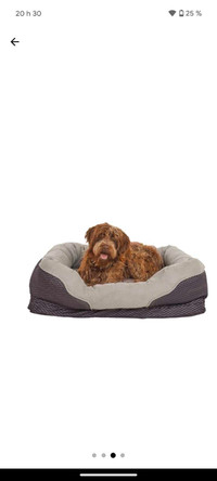 Dog bed, lit pour chien