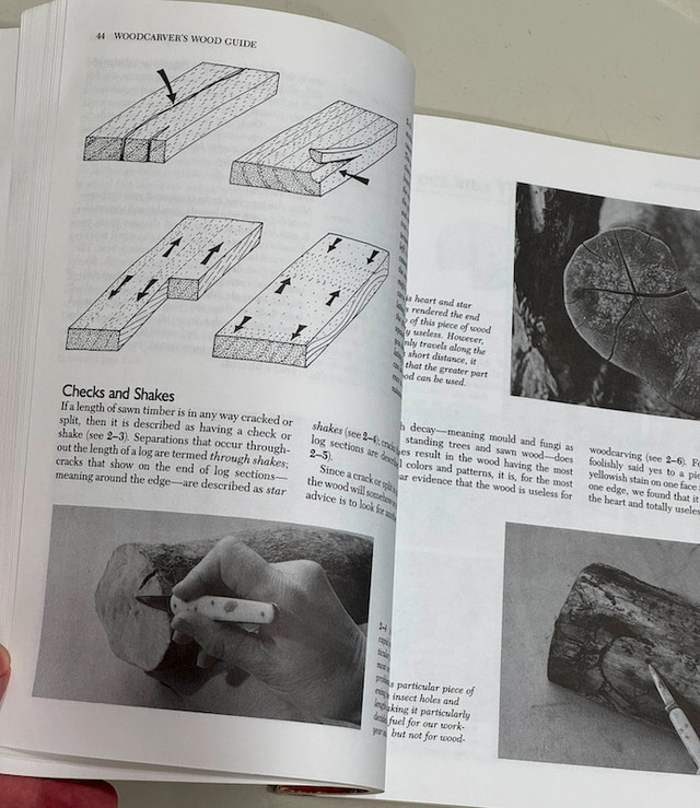 WoodCarving Basics Alan and Gill Bridgewater in Textbooks in Edmonton - Image 2