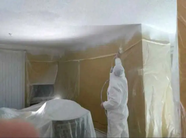 Highly Skilled Painter Looking for Work409361798755799040