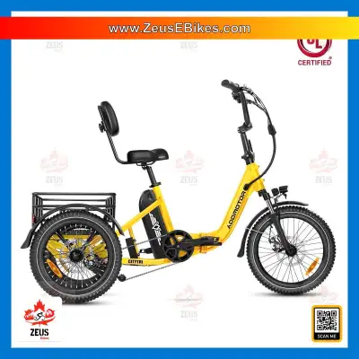 STOCK LIMITÉ! Le Trike E-310 est EN STOCK. www.ZeusEbikes.com, View more
