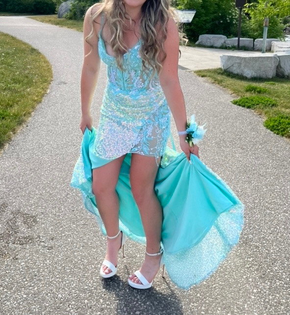 Prom Dress in Women's - Dresses & Skirts in Barrie