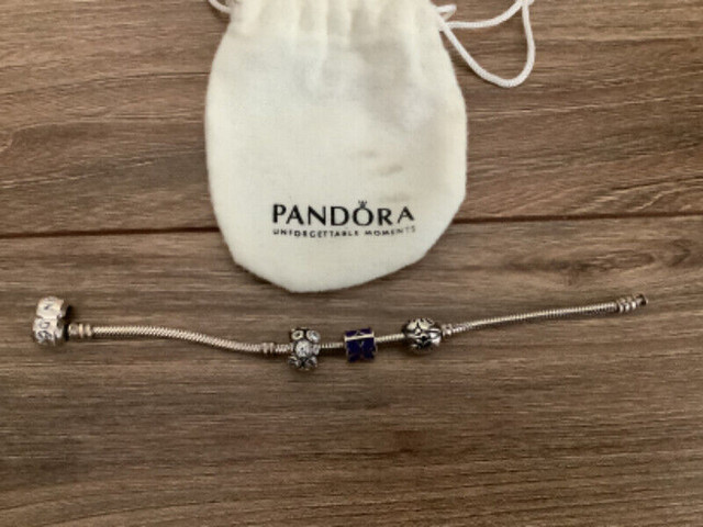 Bracelet - PANDORA snake bracelet (size 6-7) and 3 charms in Jewellery & Watches in Saskatoon