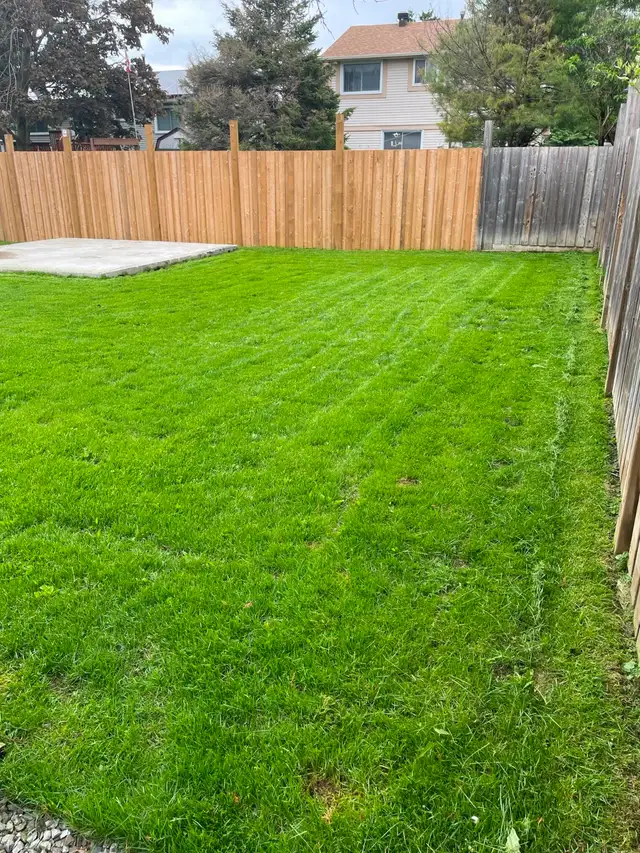 Apollo Property Maintenance Barrie in Snow Removal & Property Maintenance in Barrie - Image 4