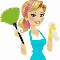 Professional Cleaning Lady!(204)881-5744.