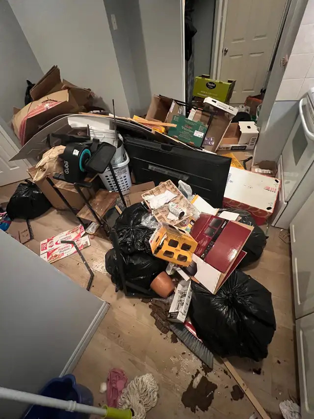 spring cleanup / property maintenance417010582595850242