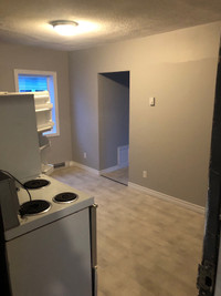 Small one bedroom apartment downtown Bathurst 