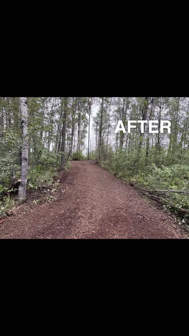 Mulching. Stump removal. Skid Steer services.572866413955000328