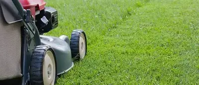 Lawn Mowing, View more