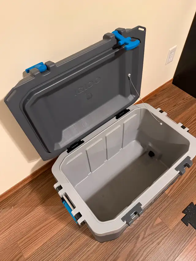Igloo cooler471852864640788481