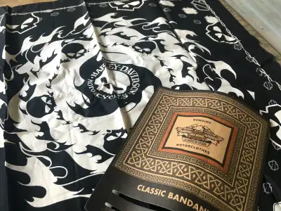 Bandana Classique Harley, Modèle Skull Fire - Neuf - Plaque Auto, View more
