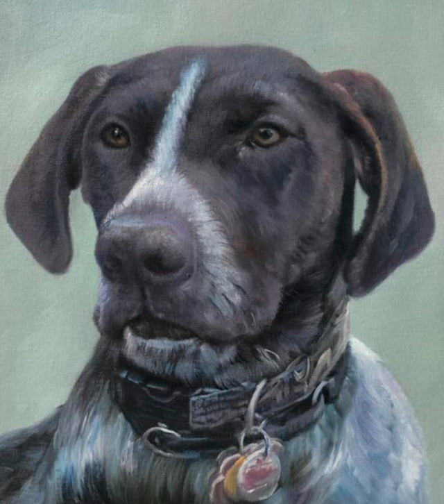 Hand painted portraits of your pet in Animal & Pet Services in Calgary - Image 4