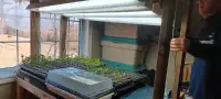 Set of 5 Gardening Grow Table Lights, 4 ft