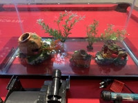 Top fin 10 gallon aquarium