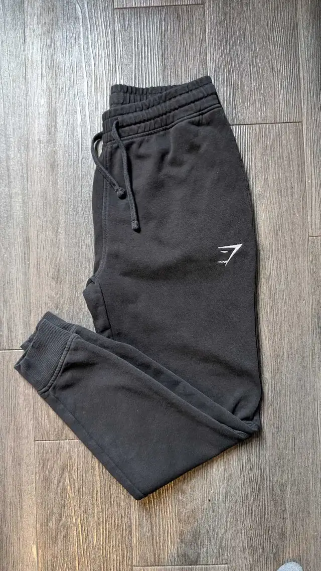 gym shark pants 