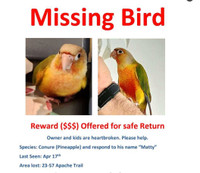 CASH PRIZE LOST BIRD