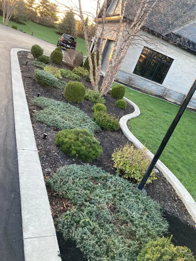 Leaf clean up & Snow removal ☃️