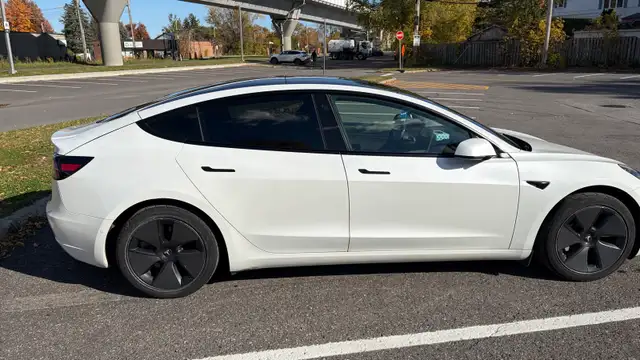 2021 Tesla Model 3 SR+598246684571750404