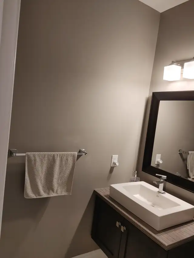 Professional painter for hire.64722633709955123