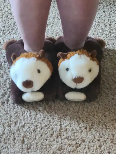 Adorable Otter Slippers - Like New, View more