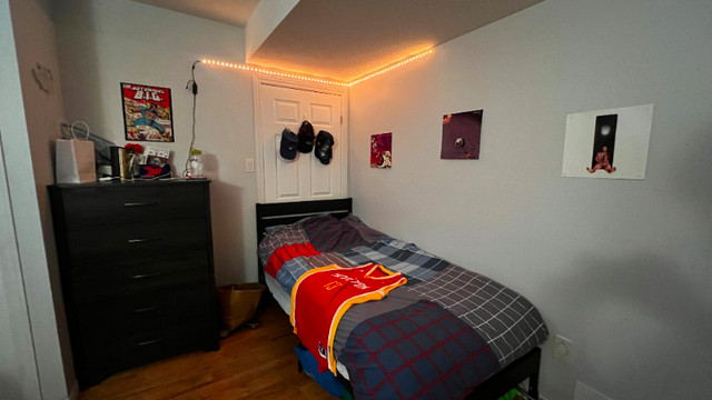 May 2024 4 month summer sublet - basement - 1 room + 1 bathroom in Room Rentals & Roommates in Guelph - Image 2