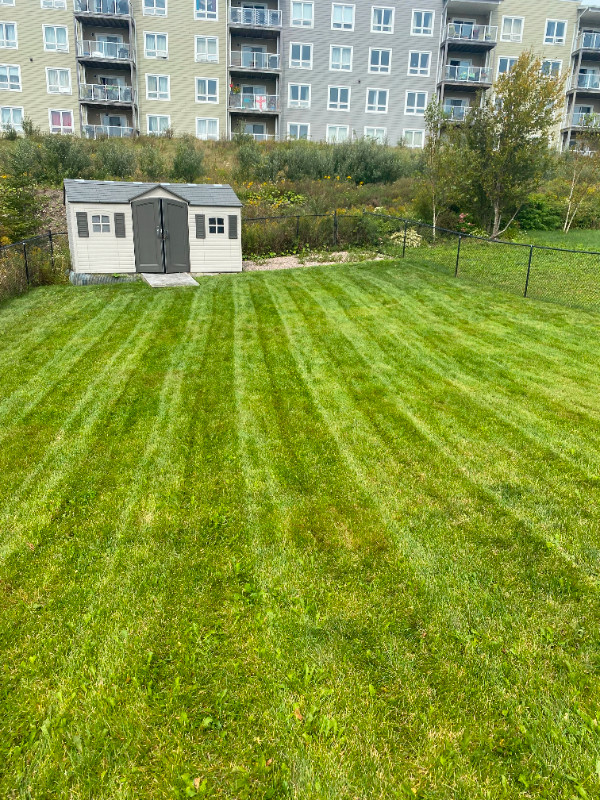 The MOST Affordable Weekly Lawn Care Service! in Lawn, Tree Maintenance & Eavestrough in Dartmouth - Image 3