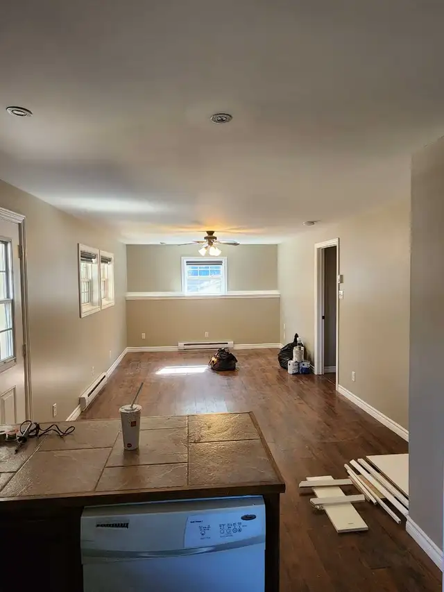Pro Painting Atlantic510357555768862725