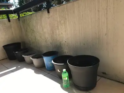 7 medium to large size flower pots planters, View more