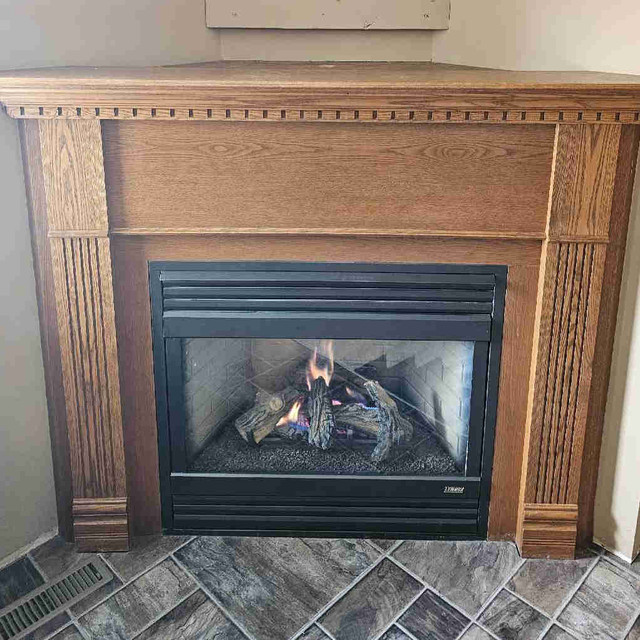 Natural Gas Fireplace in Fireplace & Firewood in Winnipeg