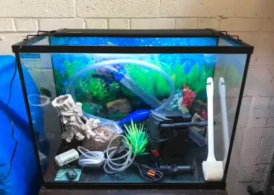 Miracle brand aquarium (30" L x 13" W x 23"H) in great condition, no leaks or cracks, comes with Mar...
