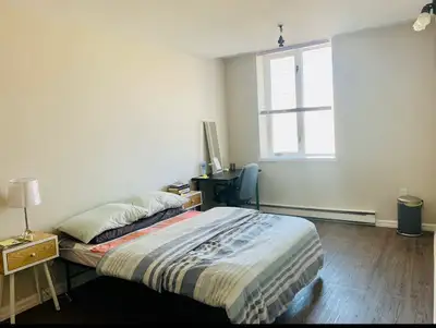 Fully Furnished room for rent in downtown Winnipeg, beside Central park from July 1st. Super close t...