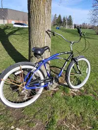 Classic Free Spirit Bicycle